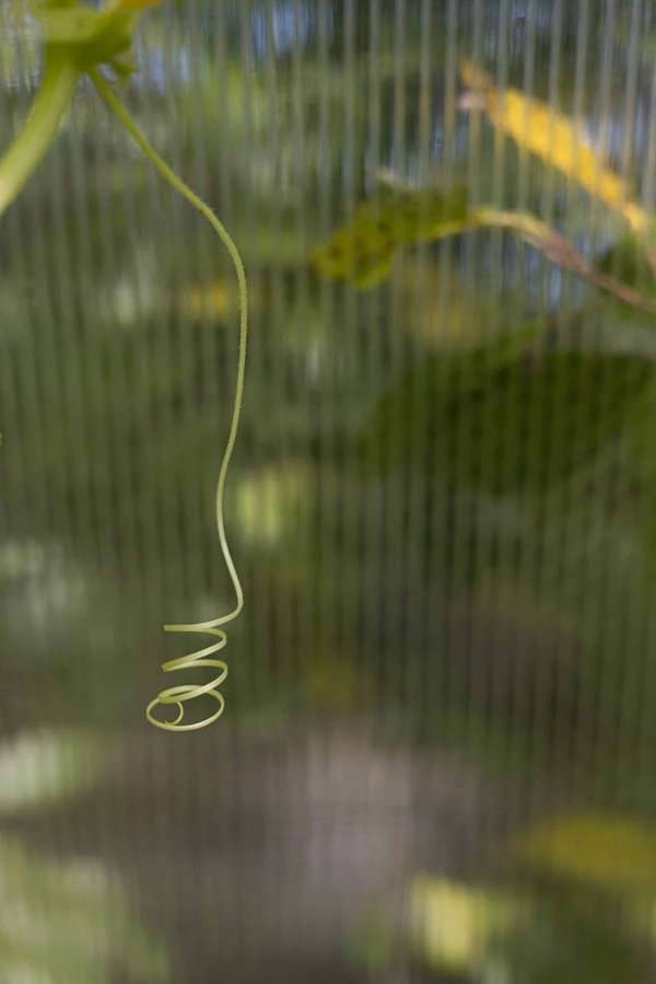 Comment les basketteurs professionnels s'adaptent-ils aux changements d'entraîneur en cours de saison ?